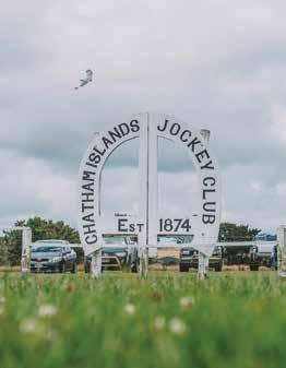 jockey-club-chathams-3.jpeg