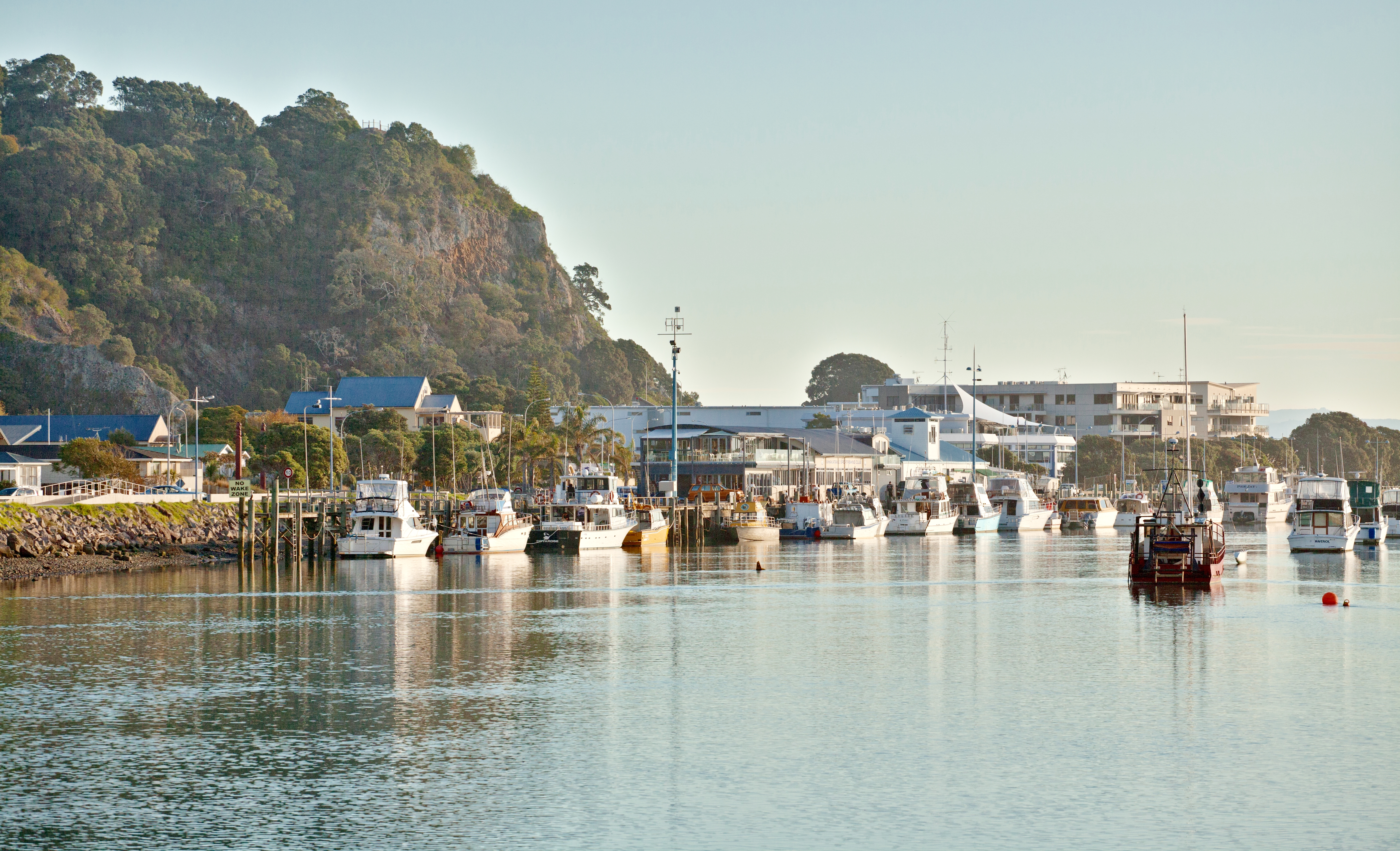 destination-whakatane-3.jpg